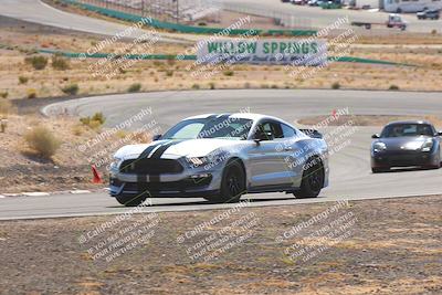 media/Oct-25-2025-West Coast Racing (Sat) [[9fdcbcd09c]]/Yellow group/Turn 4/